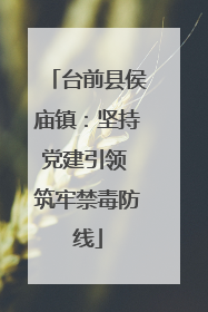 台前县侯庙镇：坚持党建引领 筑牢禁毒防线