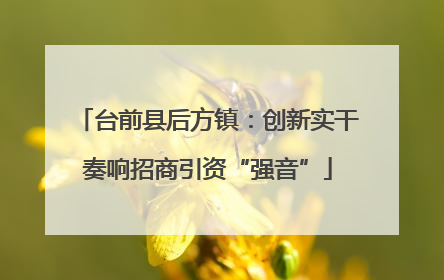 台前县后方镇：创新实干奏响招商引资“强音”