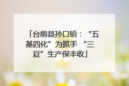 台前县孙口镇：“五基四化”为抓手 “三夏”生产保丰收