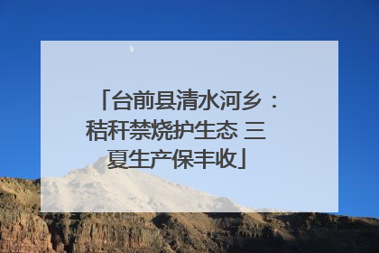 台前县清水河乡：秸秆禁烧护生态 三夏生产保丰收