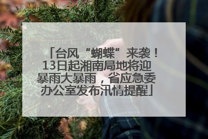 台风“蝴蝶”来袭！13日起湘南局地将迎暴雨大暴雨，省应急委办公室发布汛情提醒