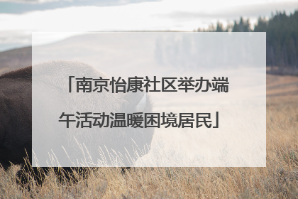 南京怡康社区举办端午活动温暖困境居民