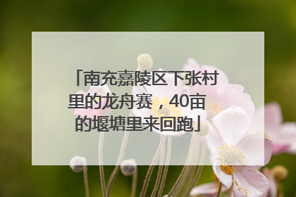 南充嘉陵区下张村里的龙舟赛，40亩的堰塘里来回跑