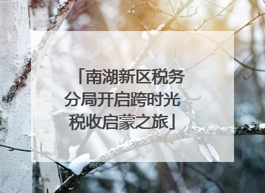 南湖新区税务分局开启跨时光税收启蒙之旅