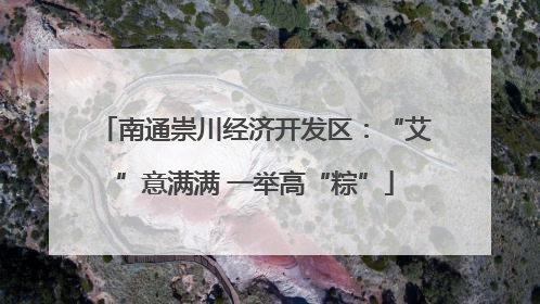 南通崇川经济开发区：“艾”意满满 一举高“粽”