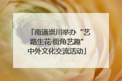 南通崇川举办“艺路生花·街角艺趣”中外文化交流活动