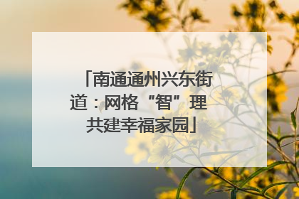南通通州兴东街道：网格“智”理 共建幸福家园