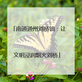 南通通州刘桥镇：让文明浸润烟火刘桥
