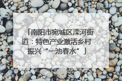 南阳市宛城区溧河街道：特色产业激活乡村振兴“一池春水”