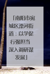 南阳市宛城区溧河街道：以学促行强担当 深入调研谋发展