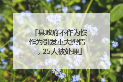县政府不作为慢作为引发重大舆情，25人被处理