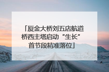 厦金大桥刘五店航道桥西主塔启动“生长” 首节段精准落位