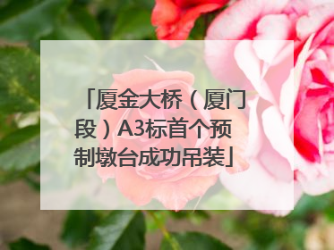 厦金大桥（厦门段）A3标首个预制墩台成功吊装