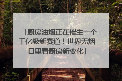 厨房油烟正在催生一个千亿级新赛道！世界无烟日里看厨房新变化
