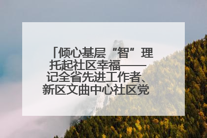 倾心基层“智”理 托起社区幸福——记全省先进工作者、新区文曲中心社区党委书记董世弘