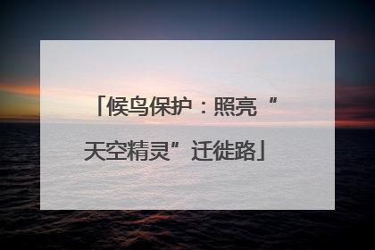 候鸟保护：照亮“天空精灵”迁徙路