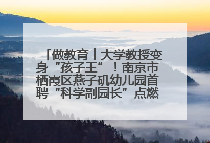 做教育︱大学教授变身“孩子王”！南京市栖霞区燕子矶幼儿园首聘“科学副园长”点燃萌娃科学梦