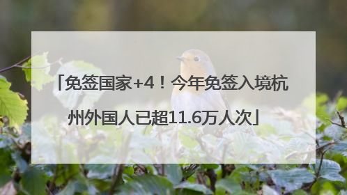 免签国家+4！今年免签入境杭州外国人已超11.6万人次