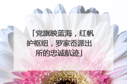 党旗映蓝海，红帆护枢纽，罗家岙派出所的忠诚航迹