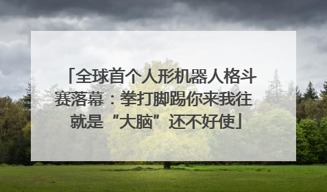 全球首个人形机器人格斗赛落幕：拳打脚踢你来我往 就是“大脑”还不好使