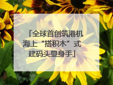 全球首创筑港机海上“搭积木”式建码头显身手