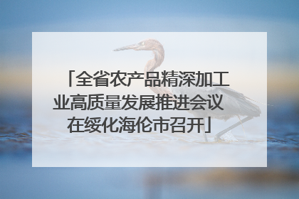 全省农产品精深加工业高质量发展推进会议在绥化海伦市召开