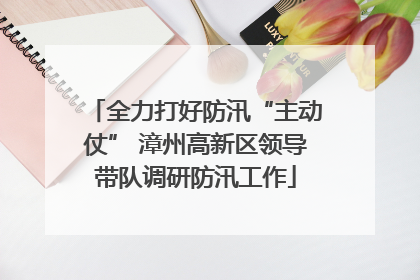 全力打好防汛“主动仗” 漳州高新区领导带队调研防汛工作