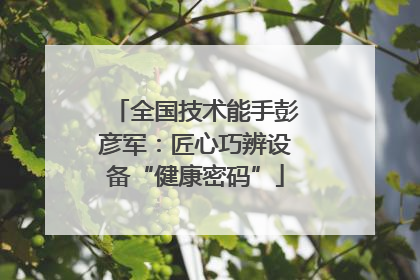 全国技术能手彭彦军：匠心巧辨设备“健康密码”