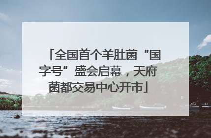 全国首个羊肚菌“国字号”盛会启幕，天府菌都交易中心开市