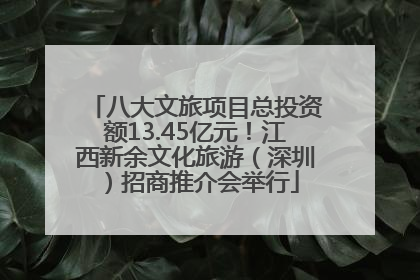 八大文旅项目总投资额13.45亿元！江西新余文化旅游（深圳）招商推介会举行