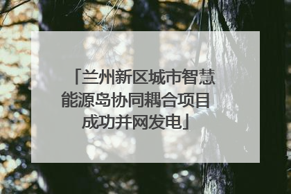 兰州新区城市智慧能源岛协同耦合项目成功并网发电
