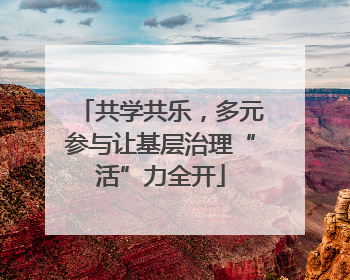 共学共乐，多元参与让基层治理“活”力全开