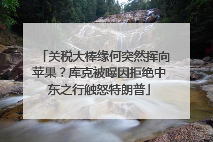 关税大棒缘何突然挥向苹果？库克被曝因拒绝中东之行触怒特朗普