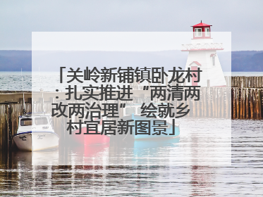 关岭新铺镇卧龙村：扎实推进“两清两改两治理” 绘就乡村宜居新图景