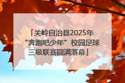 关岭自治县2025年“奔跑吧少年”校园足球三级联赛圆满落幕