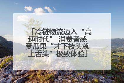 冷链物流迈入“高速时代” 消费者感受瓜果“才下枝头就上舌头”极致体验