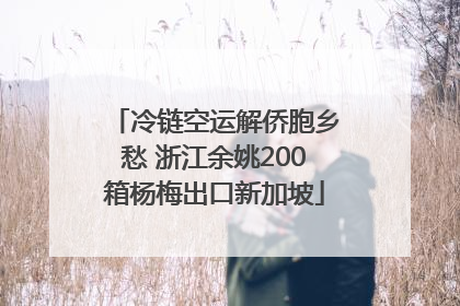 冷链空运解侨胞乡愁 浙江余姚200箱杨梅出口新加坡
