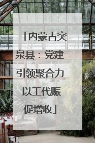 内蒙古突泉县：党建引领聚合力 以工代赈促增收