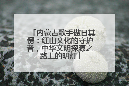 内蒙古歌手傲日其愣：红山文化的守护者，中华文明探源之路上的明灯