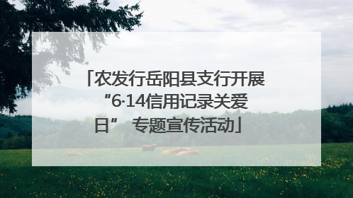 农发行岳阳县支行开展“6·14信用记录关爱日” 专题宣传活动