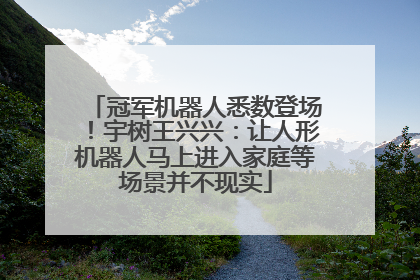 冠军机器人悉数登场！宇树王兴兴：让人形机器人马上进入家庭等场景并不现实