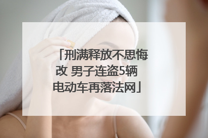 刑满释放不思悔改 男子连盗5辆电动车再落法网