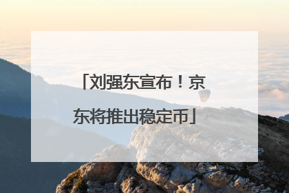 刘强东宣布！京东将推出稳定币