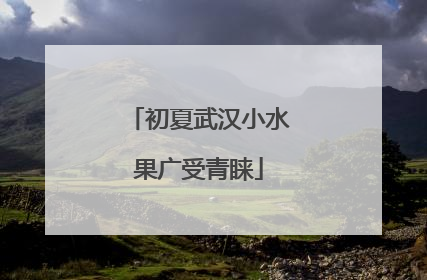 初夏武汉小水果广受青睐
