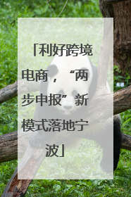 利好跨境电商，“两步申报”新模式落地宁波