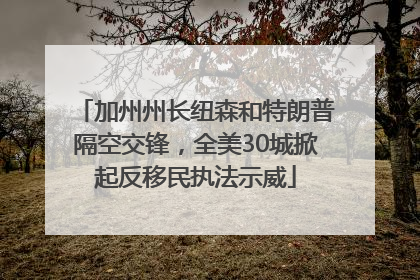 加州州长纽森和特朗普隔空交锋，全美30城掀起反移民执法示威