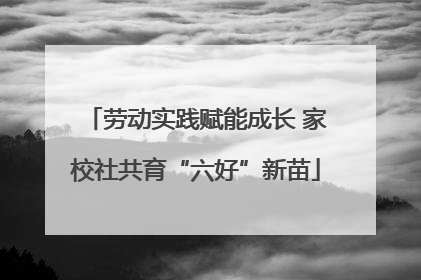 劳动实践赋能成长 家校社共育“六好”新苗