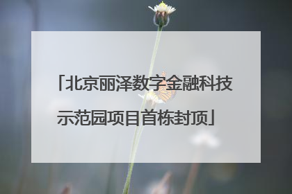 北京丽泽数字金融科技示范园项目首栋封顶
