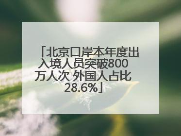 北京口岸本年度出入境人员突破800万人次 外国人占比28.6%