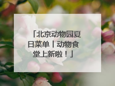 北京动物园夏日菜单丨动物食堂上新啦！